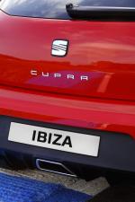 Seat Ibiza Cupra 2008 года